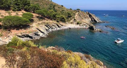 Grande villa rénovée quartier des fleurs à 5mn de la plage
