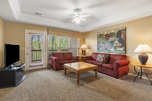 Smart TV, fireplace, DVD player, books