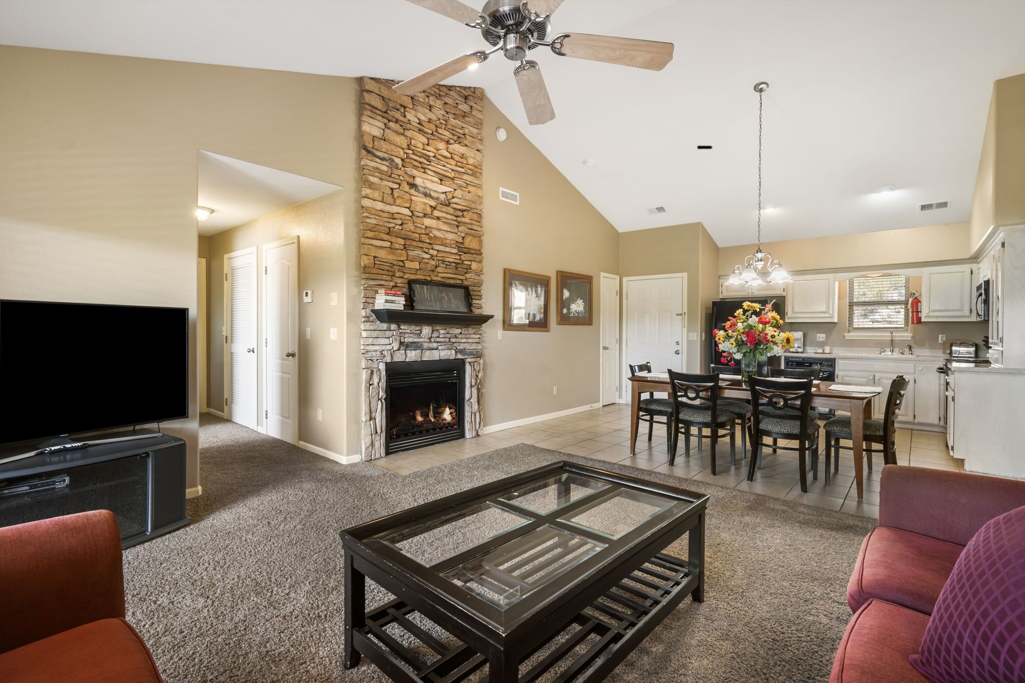 Smart TV, fireplace, DVD player, books