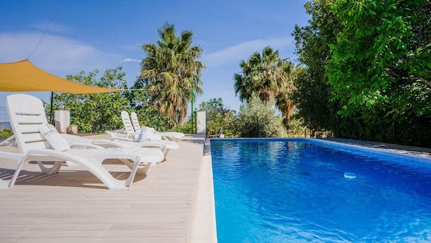 Un espace aménagé au bord de la piscine, avec des chaises longues et un palmier.