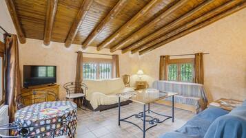 Een televisie, een open haard en een tafeltennistafel