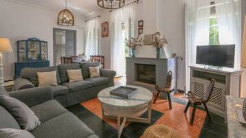 Télévision, cheminée