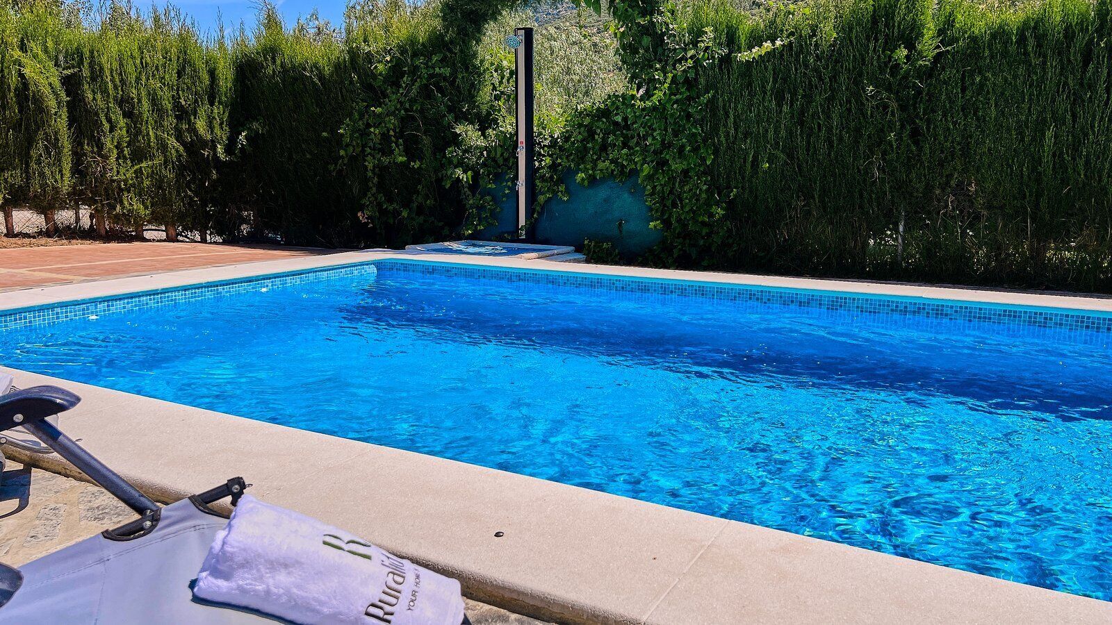 Une piscine dont le bord est revêtu de carrelage, entourée de verdure et surplombée par un ciel dégagé.