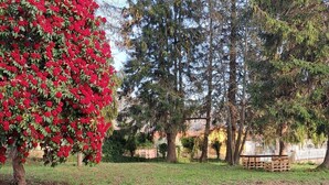Property grounds - Into the Green! Val Di Vara Garden House x8 (Villagrossa)
