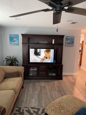 Smart TV, books, music library