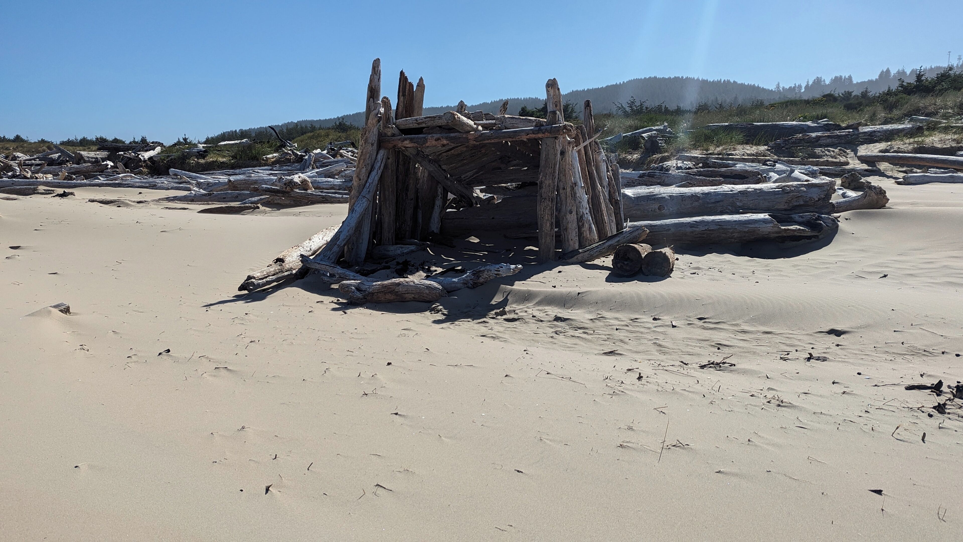 En sandstrand med drivved och stenar.