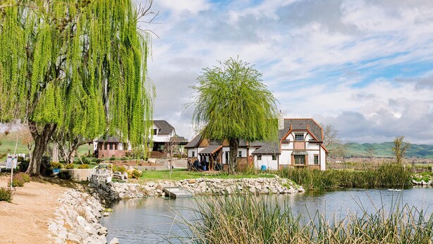 A riverside village with traditional houses, a stone bridge, and a pond.