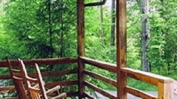 A wooden deck with a railing, surrounded by dense green foliage.