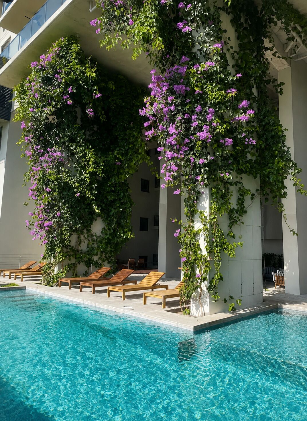Un área junto a la piscina con una piscina azul cristalina, sillones de madera para tomar el sol y enredaderas con flores moradas trepando por la fachada del edificio.