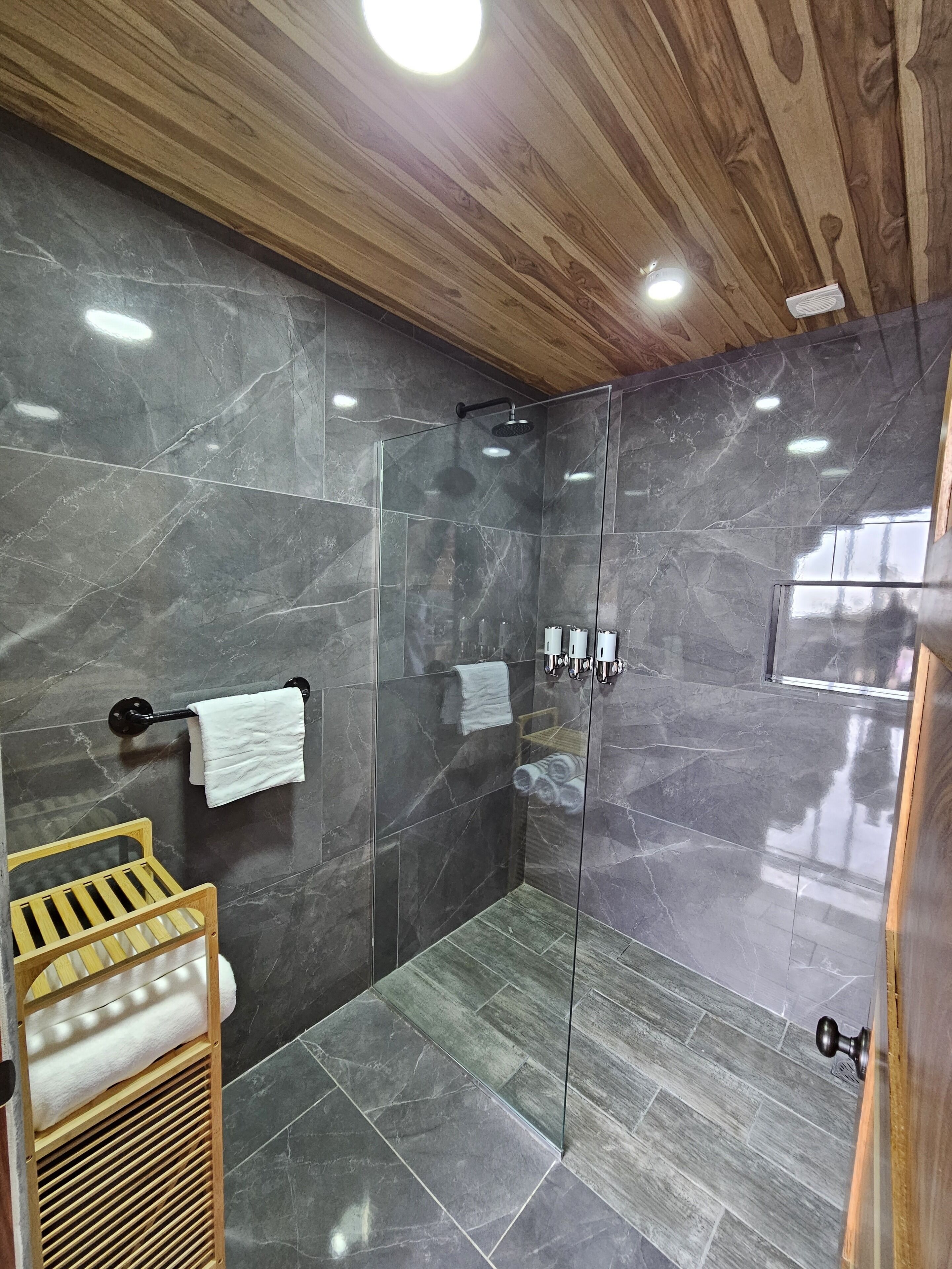 Hair dryer, towels, soap, shampoo