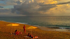 A beach with umbrellas and people relaxing. - Casa Santos (Todos Santos)