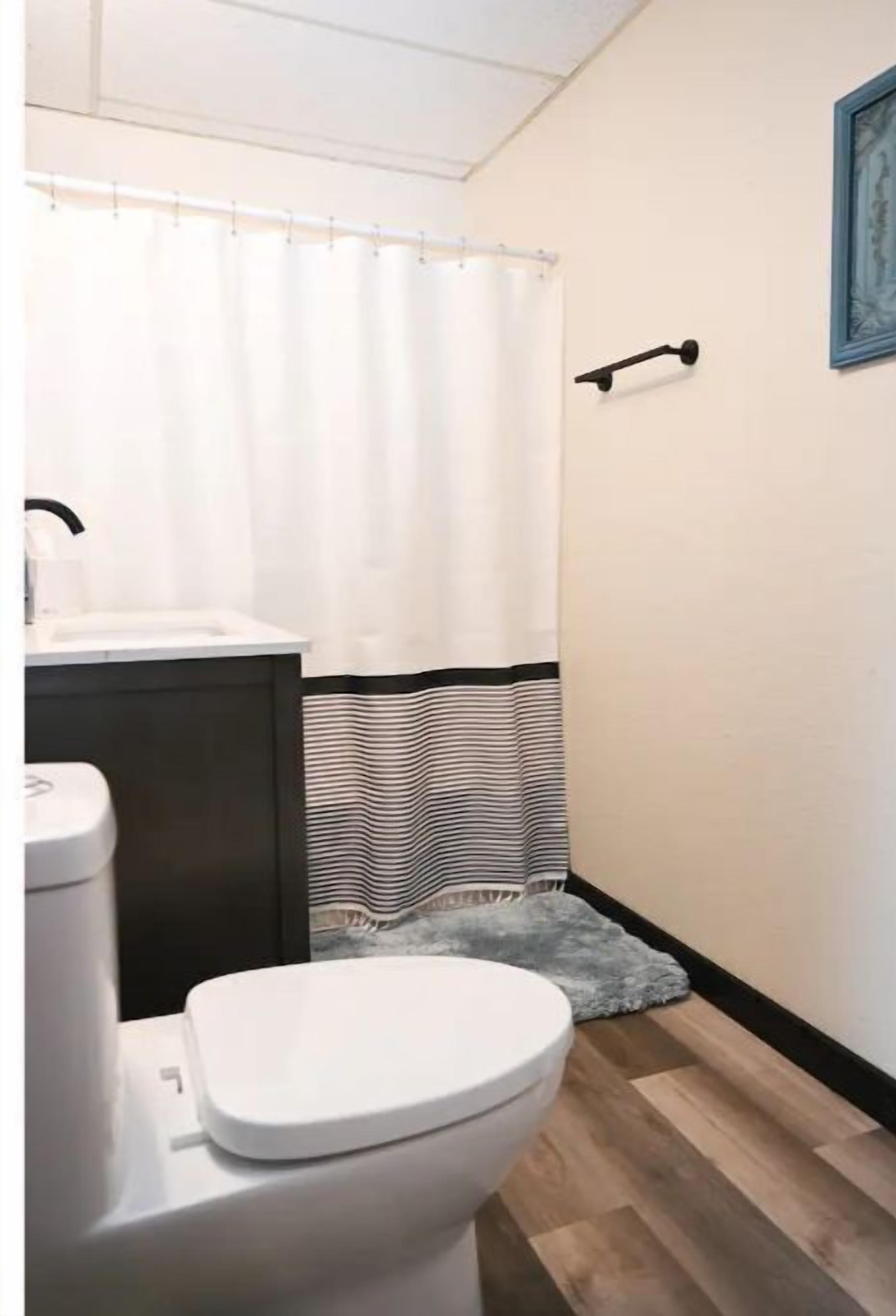 A bathroom with a white toilet, a dark cabinet, a striped shower curtain, and a framed picture on the wall.