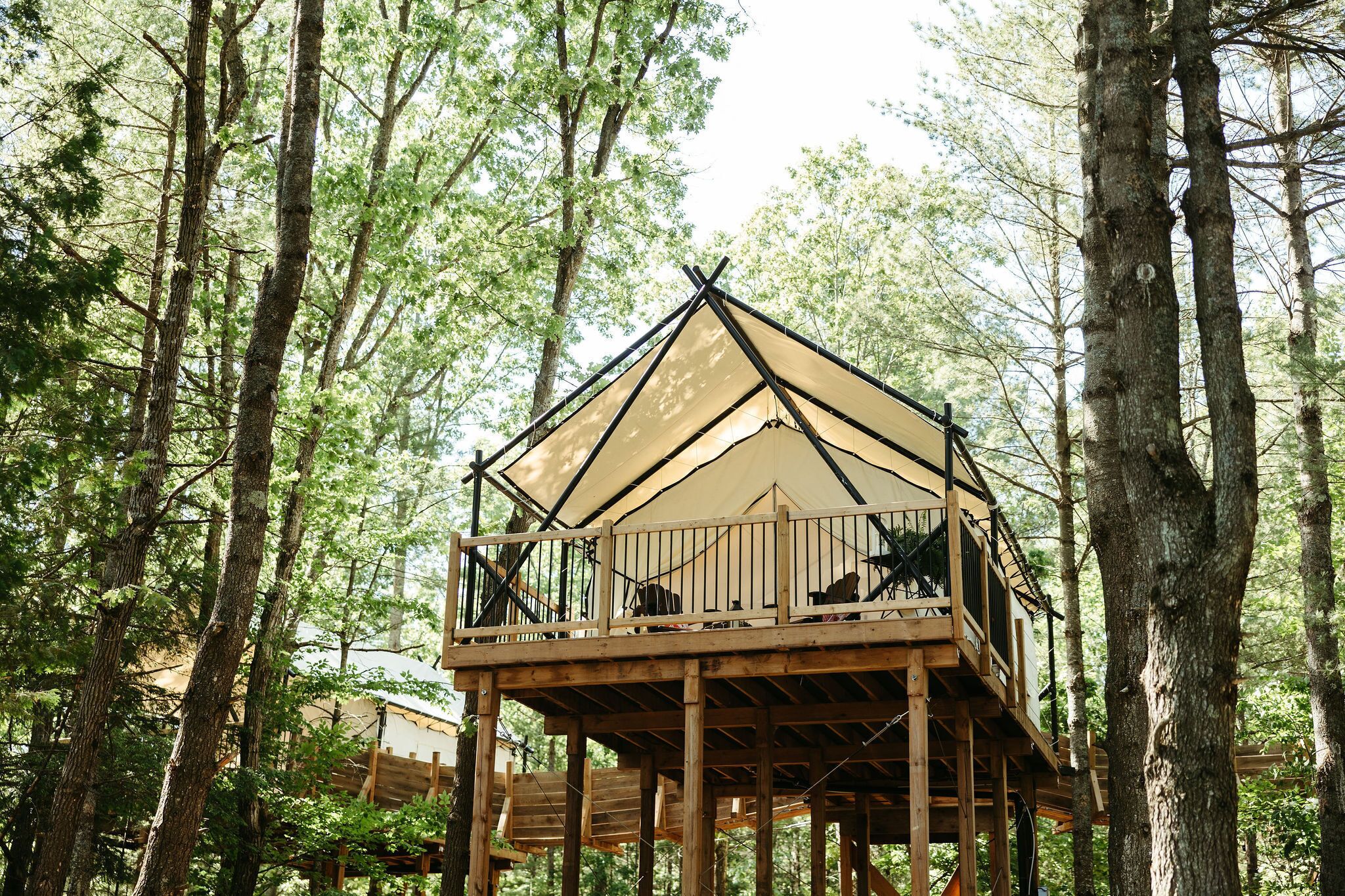 Couette en duvet d'oie, décoration personnalisée