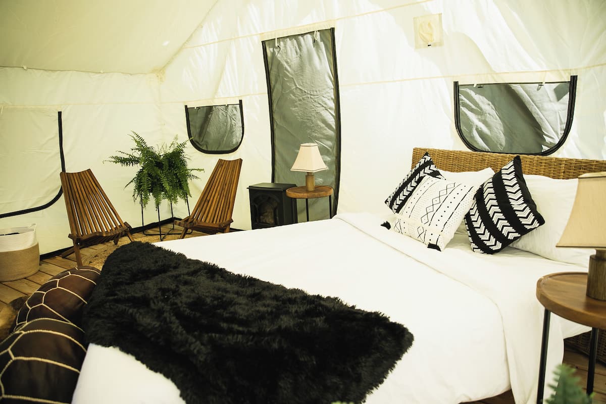 Ein Zeltunterstand mit einem Bett, Stühlen, einer Lampe und einem Topf mit Pflanze.