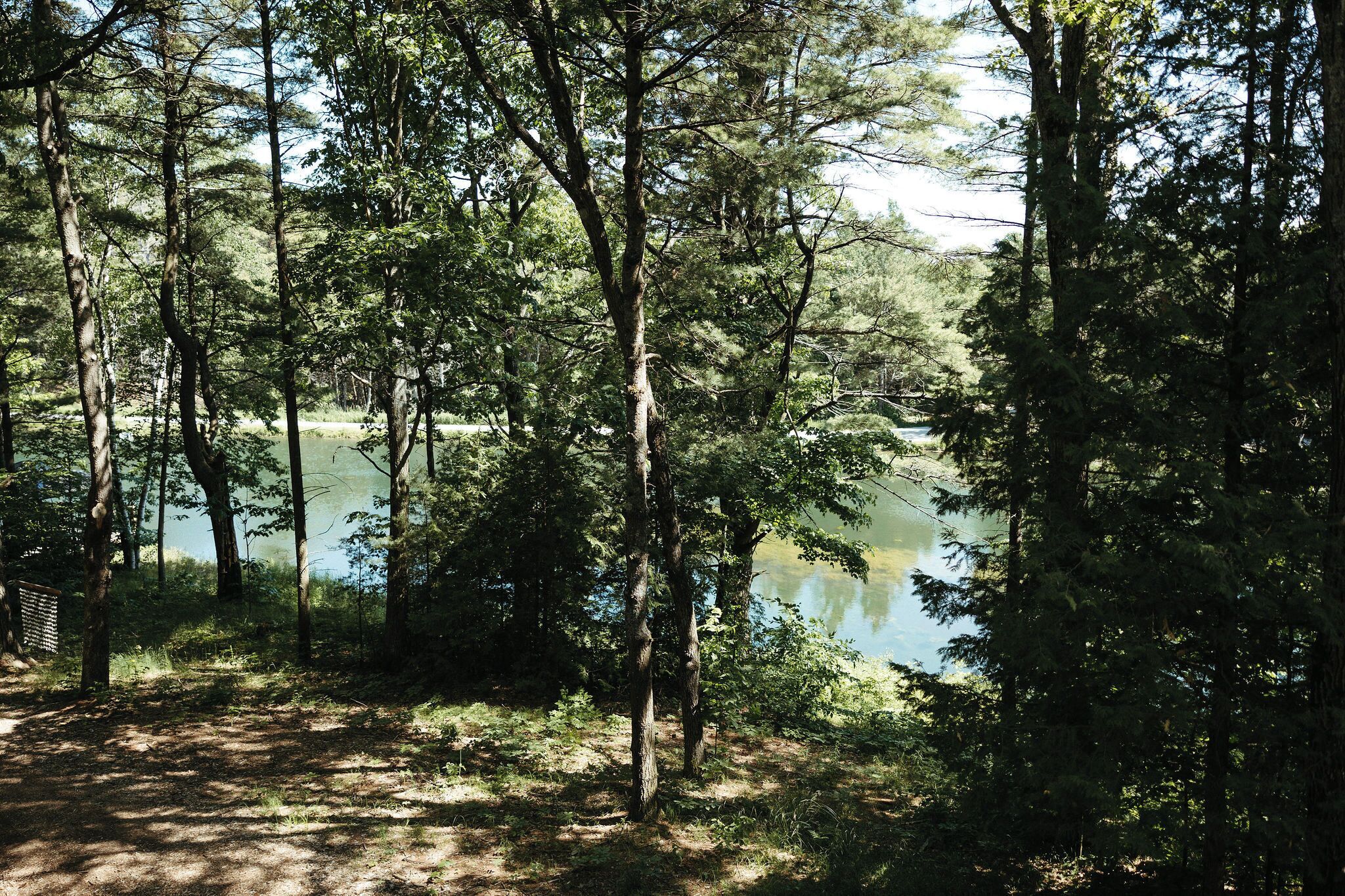 Zona boscosa con un lago, un sendero de tierra y una valla de madera.