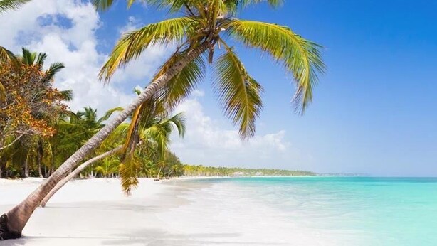 Una playa de arena blanca y agua turquesa, con palmeras y un cielo azul despejado.
