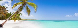 A beach with white sand and turquoise water, palm trees, and a clear blue sky.