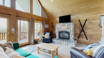 TV, fireplace, books