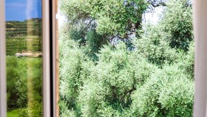 Une fenêtre donnant sur un jardin, avec un arbre et un mur de pierres.