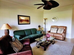 Smart TV, DVD player, books