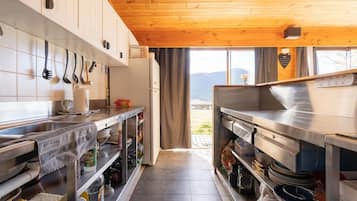 Microwave, stovetop, dishwasher, cookware/dishes/utensils