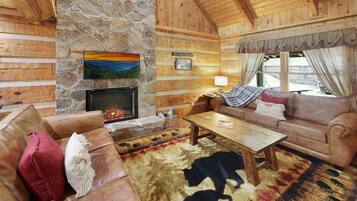 Smart TV, fireplace, DVD player, books
