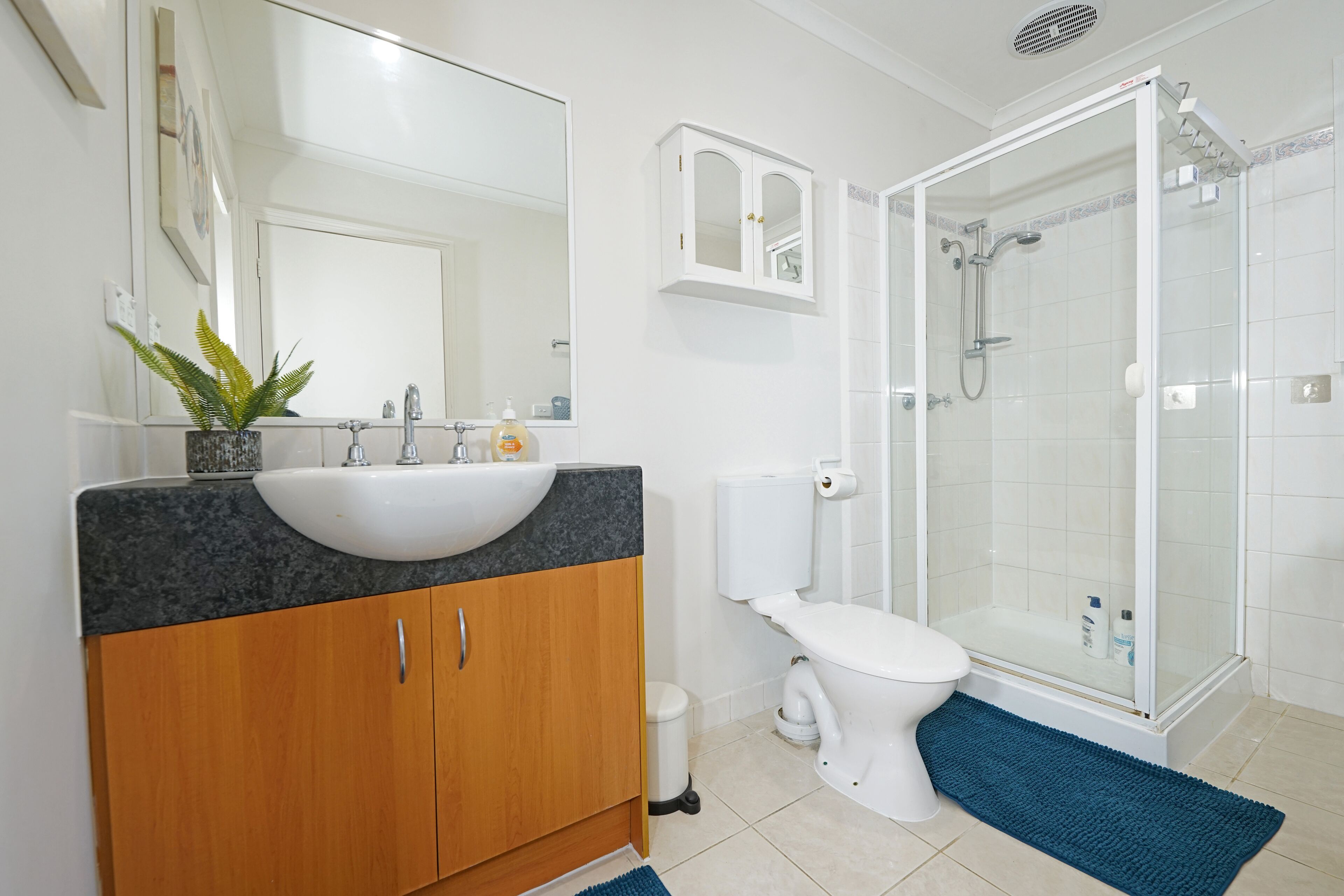 Ducha, secador de pelo, shampoo, papel higiénico