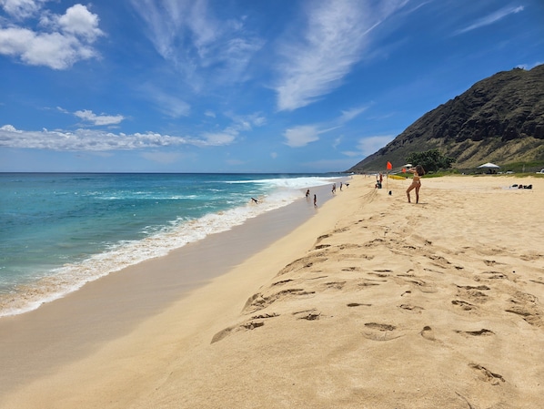 Plage, chaises longues, serviettes de plage
