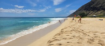 Cozy Beach Condo, beautiful ocean view and lagoon beach 