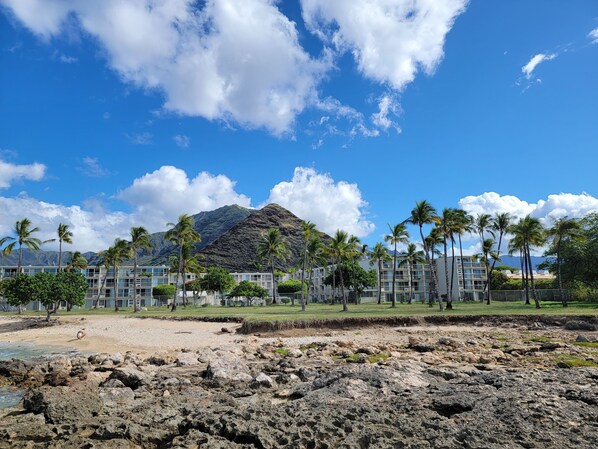 A beachfront hotel with multiple buildings, palm trees, and a mountain in the background.