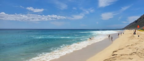 On the beach, sun-loungers, beach towels