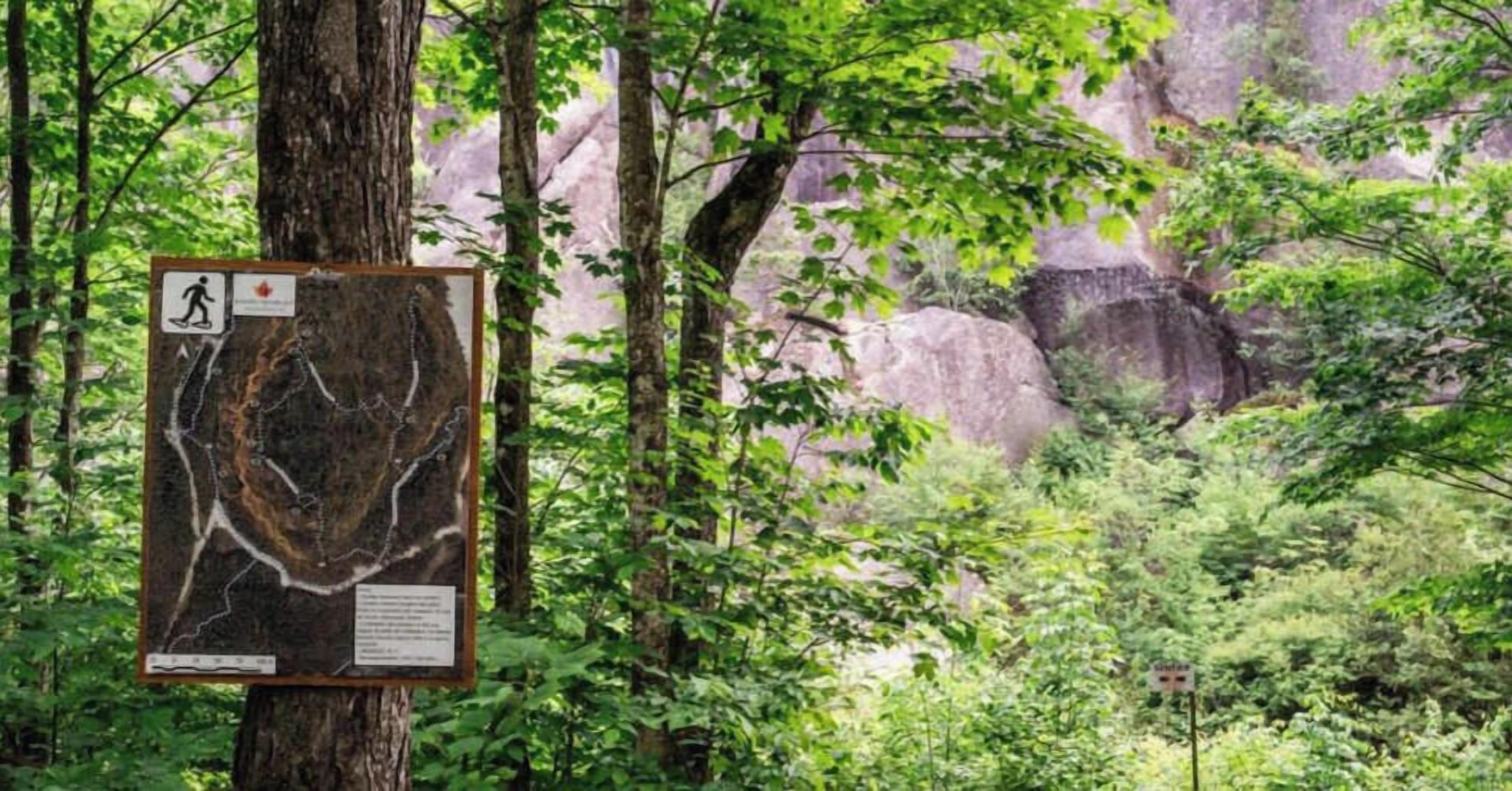 A map of a forest trail with a hiking symbol and a red maple leaf logo.