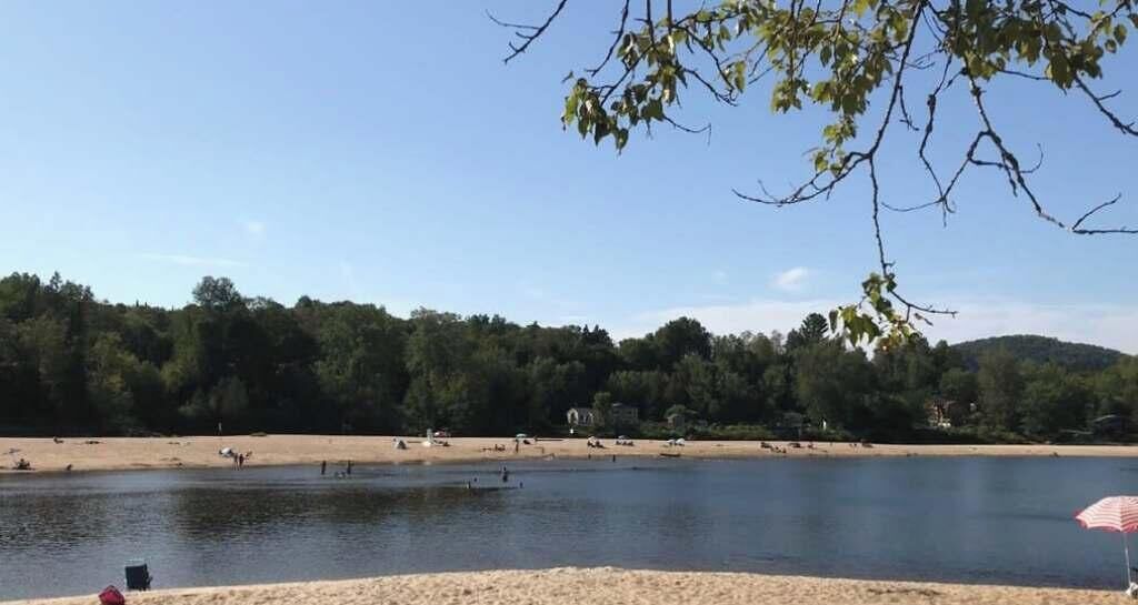 A lakeside view with a sandy beach, trees, and a clear sky.