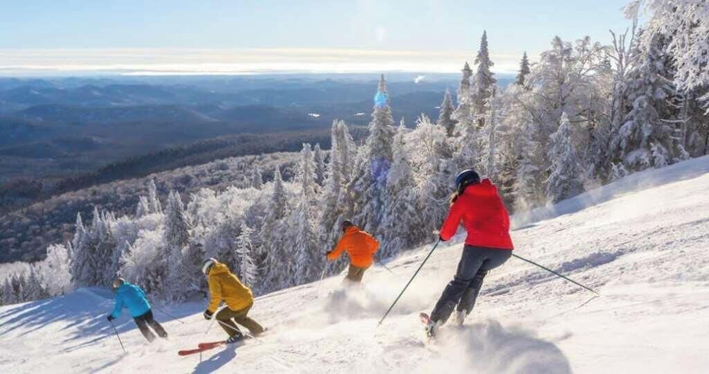 Eine Gruppe von Skifahrern auf einem verschneiten Hang mit bewaldetem Hintergrund und weit entfernten Hügeln.