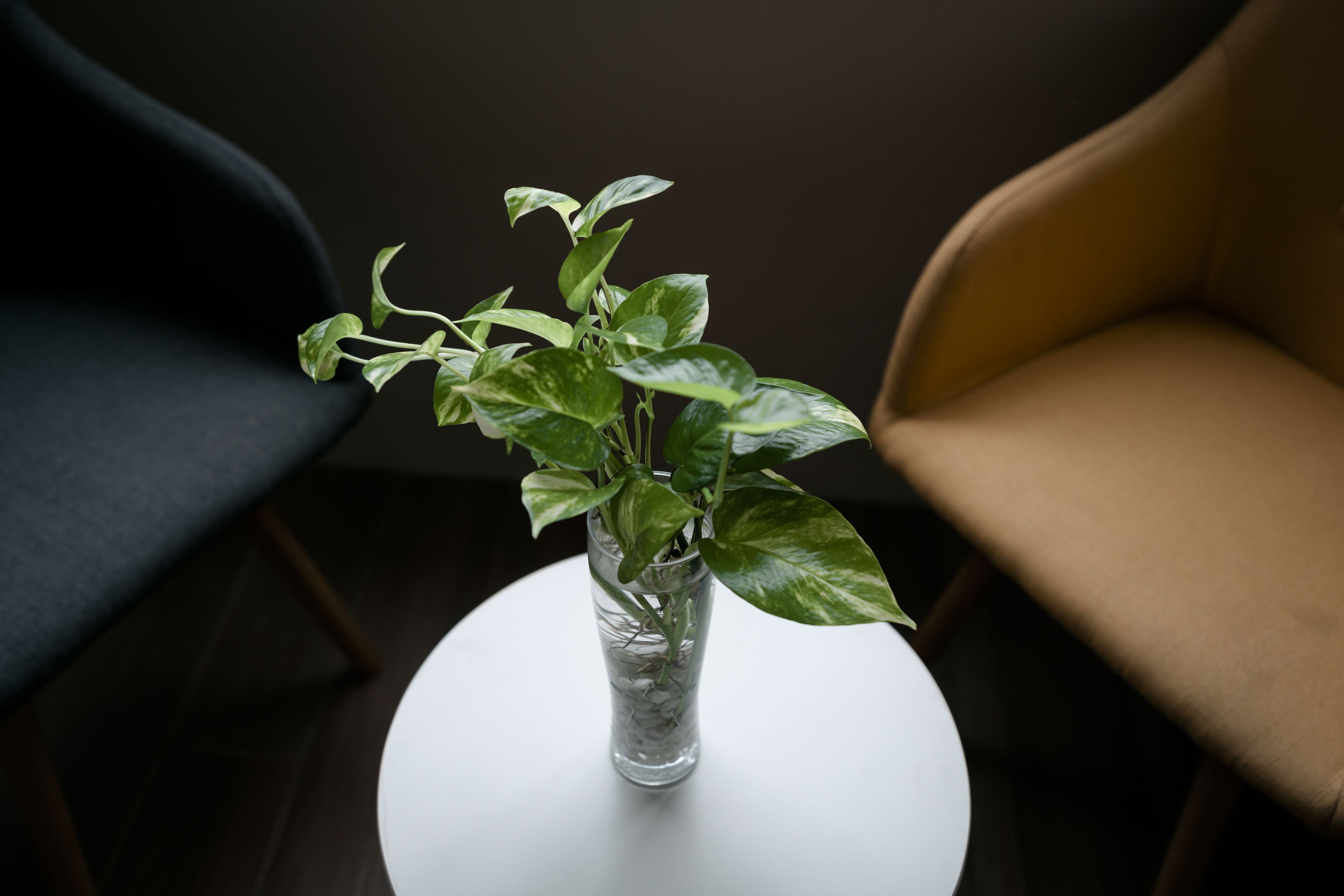 Foto - The Rangoon Hotel