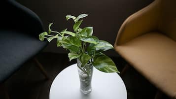 Een transparante glazen vaas met een plantje op een witte tafel.