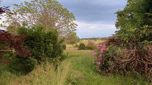 Un sendero serpentea por un exuberante jardín con arbustos y plantas en flor.