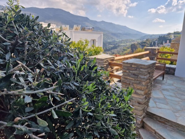 Un patio con escalones de piedra y vistas a montañas al fondo.