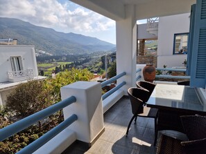 Terrace/patio - Karaoulanis apartments  (Andros)
