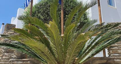 Karaoulanis apartments