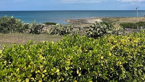 Eine Küstenlandschaft mit blauem Himmel, Blick auf das Meer und grüner Vegetation im Vordergrund.