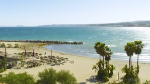 Une plage avec des palmiers, un rivage sablonneux et un ciel dégagé.