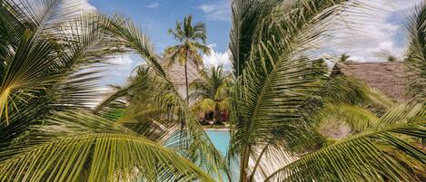 A pool surrounded by palm trees and a thatched-roof structure.