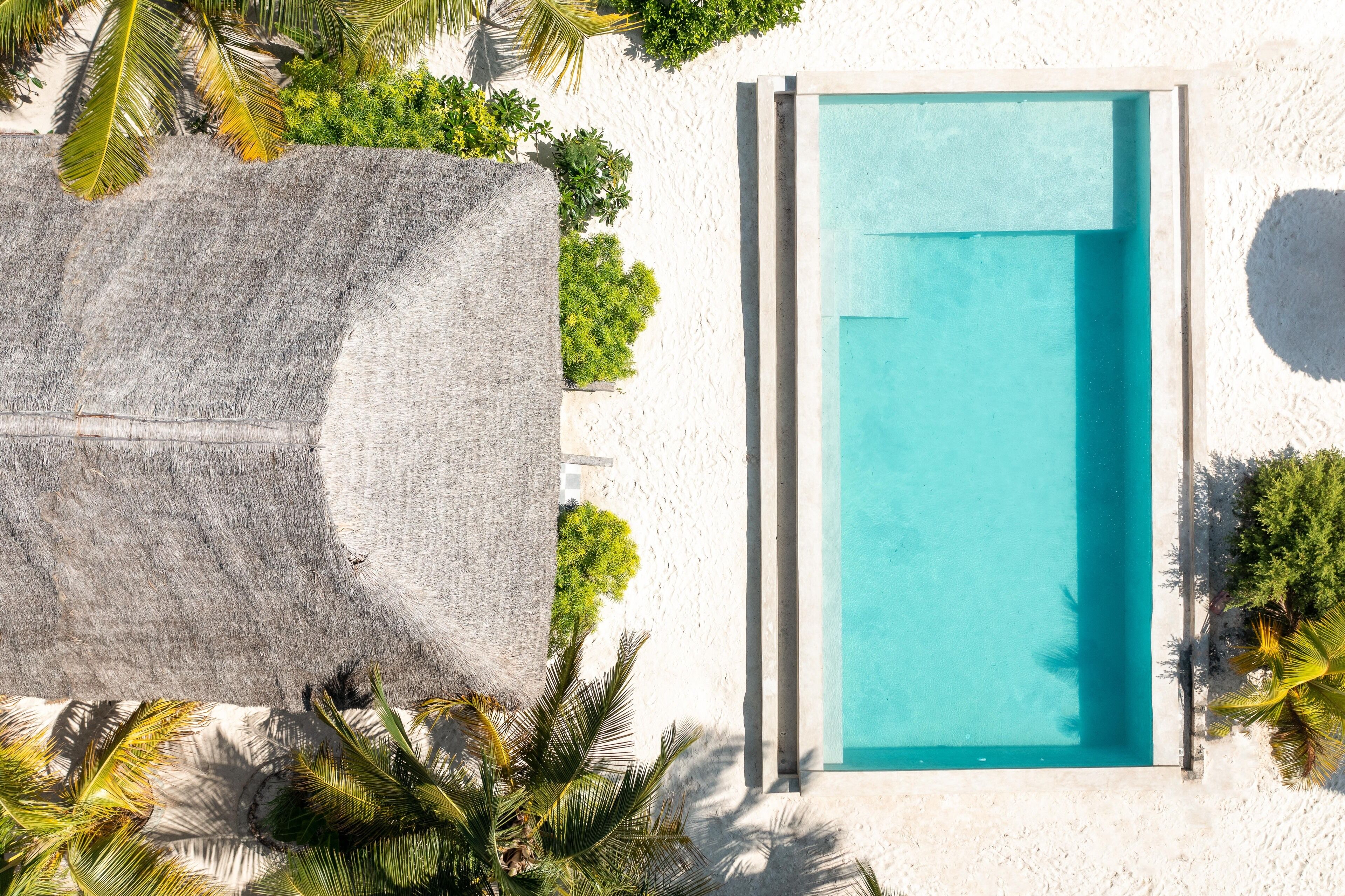 Una piscina rectangular junto a una playa de arena blanca, rodeada de palmeras y una estructura de techo de paja.