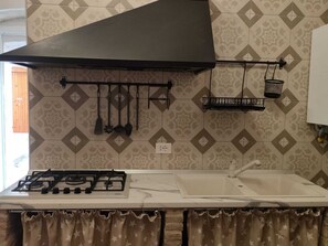 Køleskab, kogeplade, køkkentøj/tallerkener/redskaber, krydderier