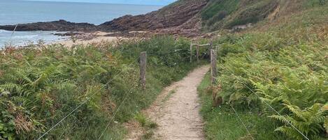 A dirt path leading to a beach with a rocky coastline and a grassy hillside.