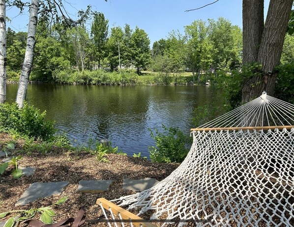 A hammock set up near a pond surrounded by trees.