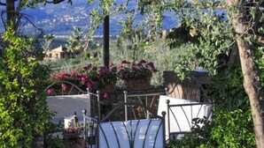 Un jardin avec un parterre de fleurs, une chaise en métal et une structure blanche dotée d’un toit incurvé.