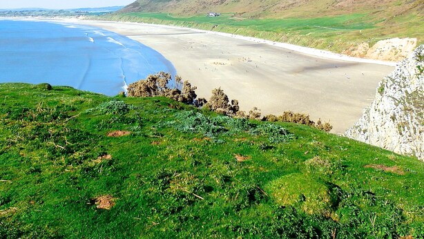 Un paisaje costero con una playa, colinas cubiertas de hierba y cielo despejado.