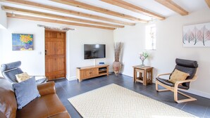Una sala de estar con techo de madera, un televisor, un sofá, un sillón, un tapete y una puerta.